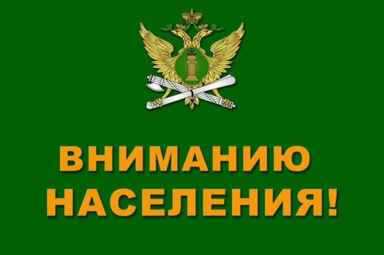 105 протоколов об административном правонарушении в отношении должников по алиментам составили псковские судебные приставы за первый квартал 2025 года.. 105 протоколов об административном правонарушении в отношении должников по алиментам составили псковские судебные приставы за первый квартал 2025 года..